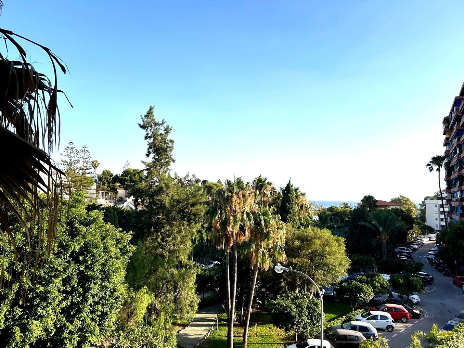 מאלגה Apartamento Don Carlos מראה חיצוני תמונה